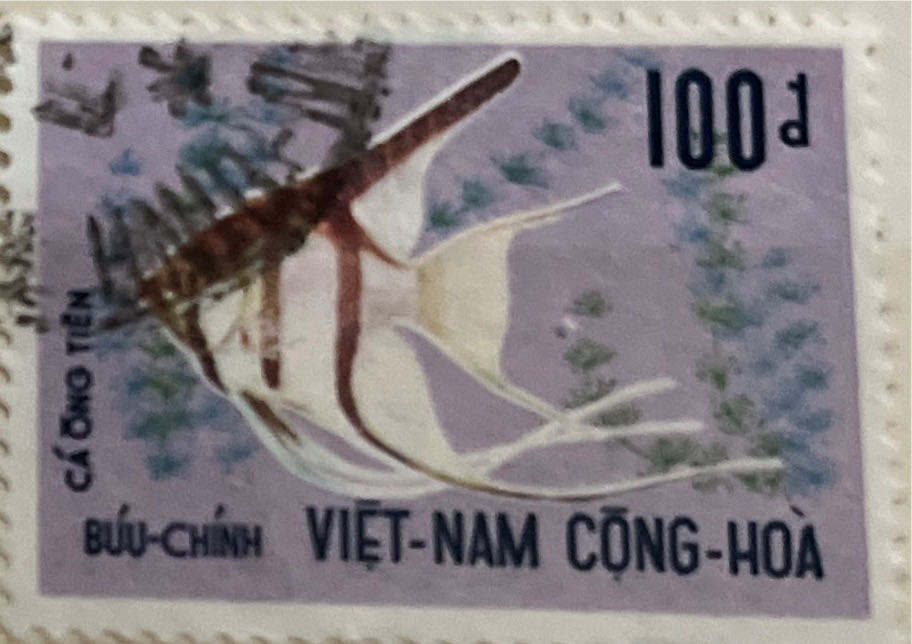 Living Together Cartoons