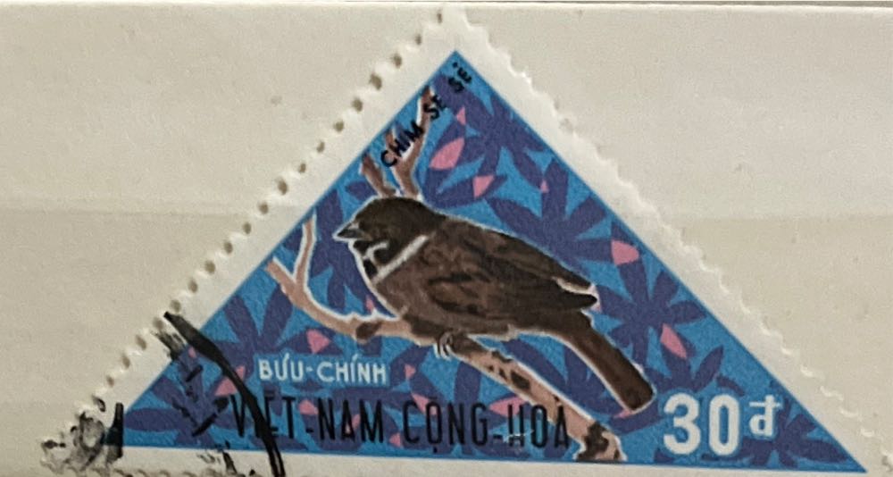 Lunar New Year Monkey