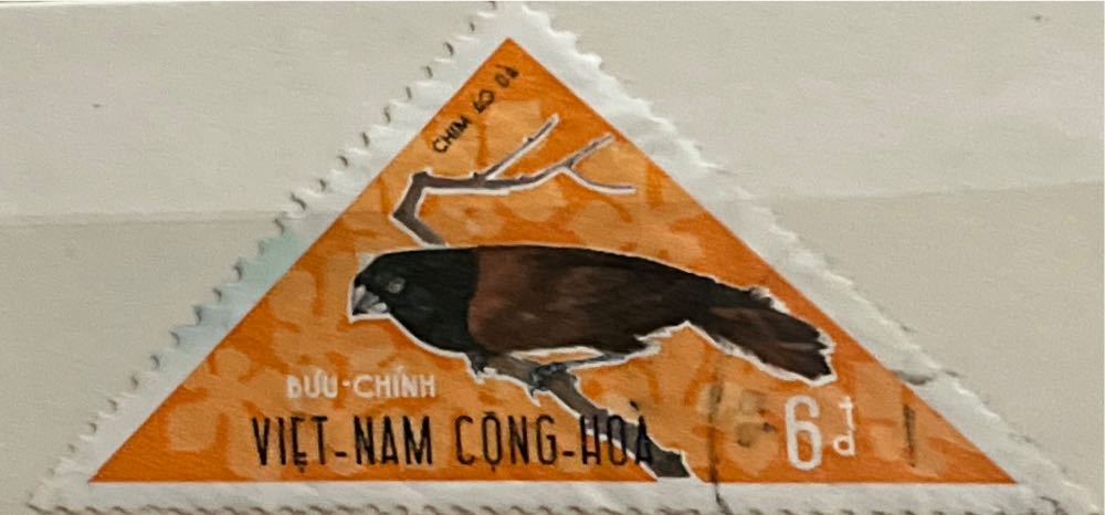 The 150th Abniversary Of Mirray River Sgipping 