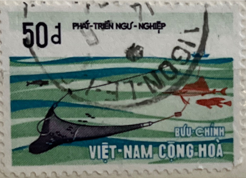 Illuminated Christmas