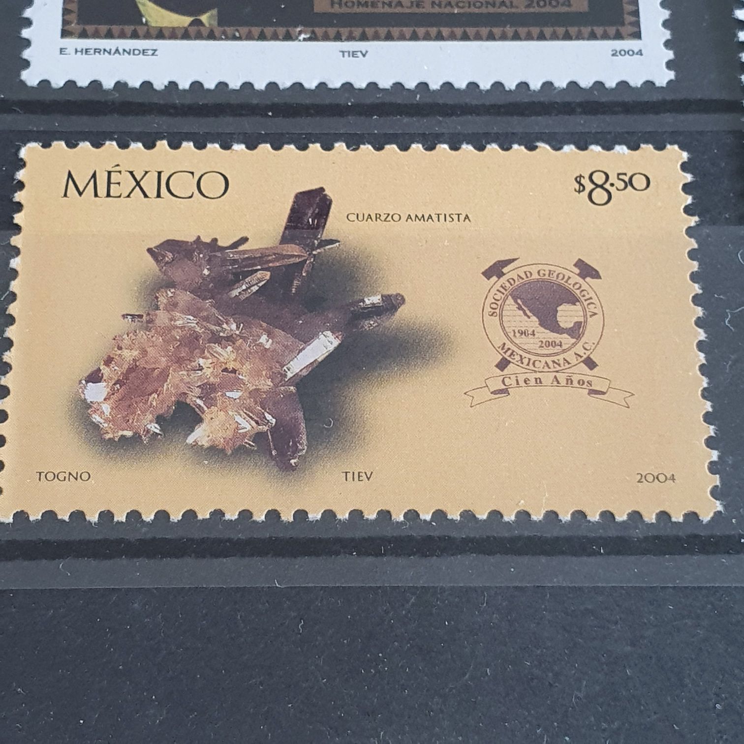Sociedad Geológica 100 Años  stamp collectible - Main Image 2