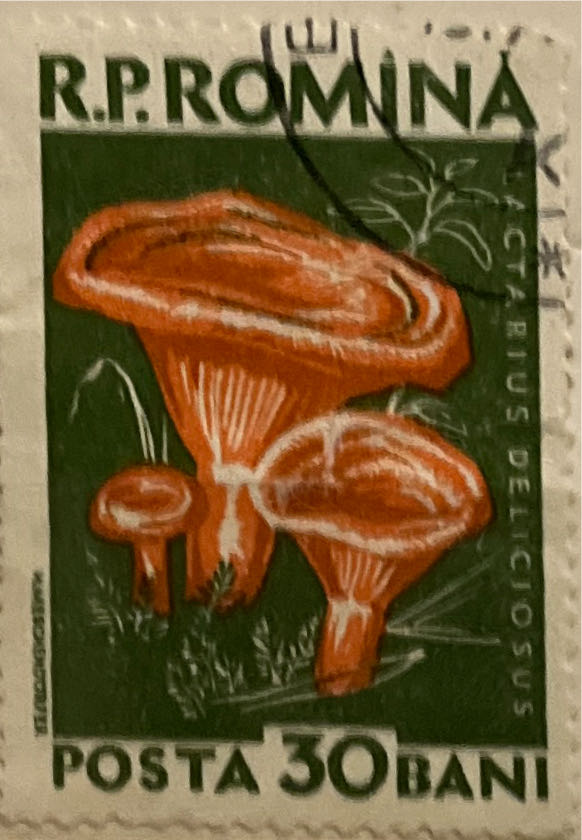 Pnc Australia Luna Park Melbourne 110 Years Of Fun Ram $1 ”l” Coin Pnc. Issue L E 7500. Cost $17.95 $1.00