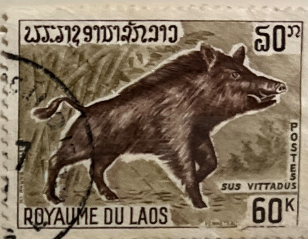 Living Together Cartoons