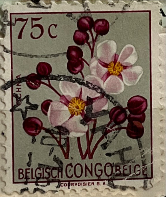 Plane Flying Over Athens Greece