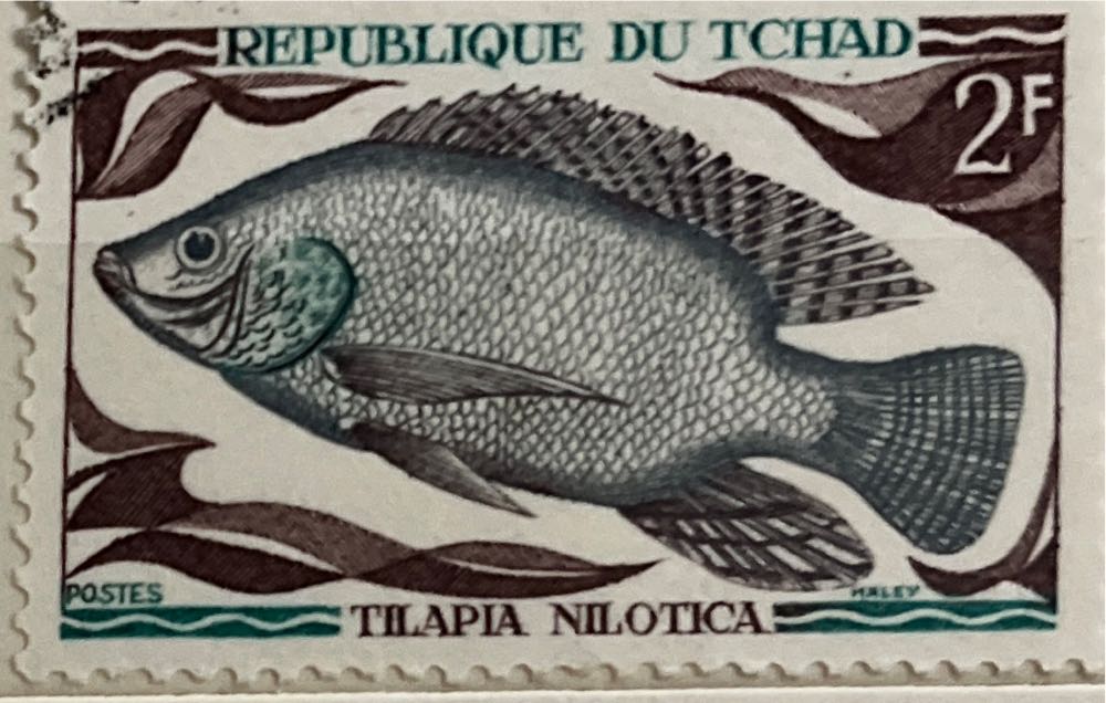 Hot Wheels Toyota Rsc First Editions 21 42 #39 Silver