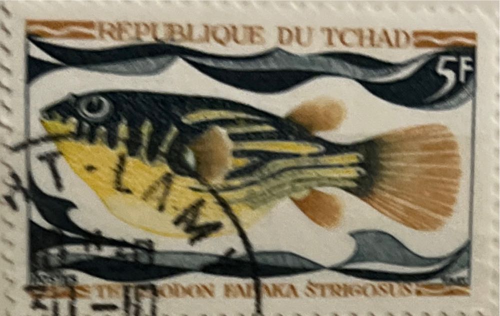 Eynhallow Scotland Football