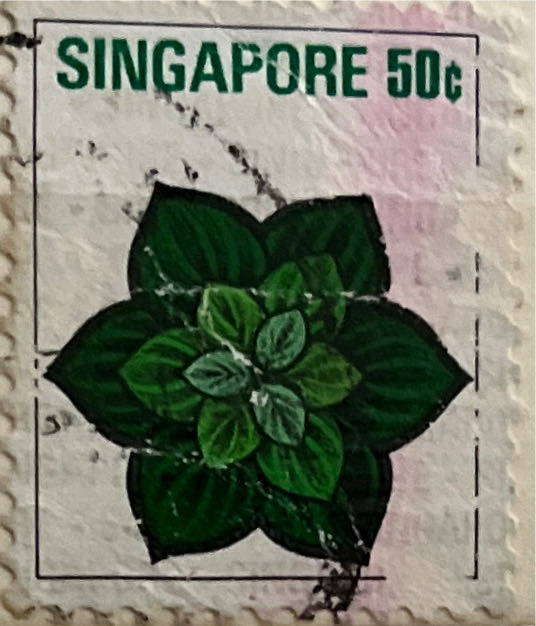 Legacy Centenary Of Service Prestige Badge