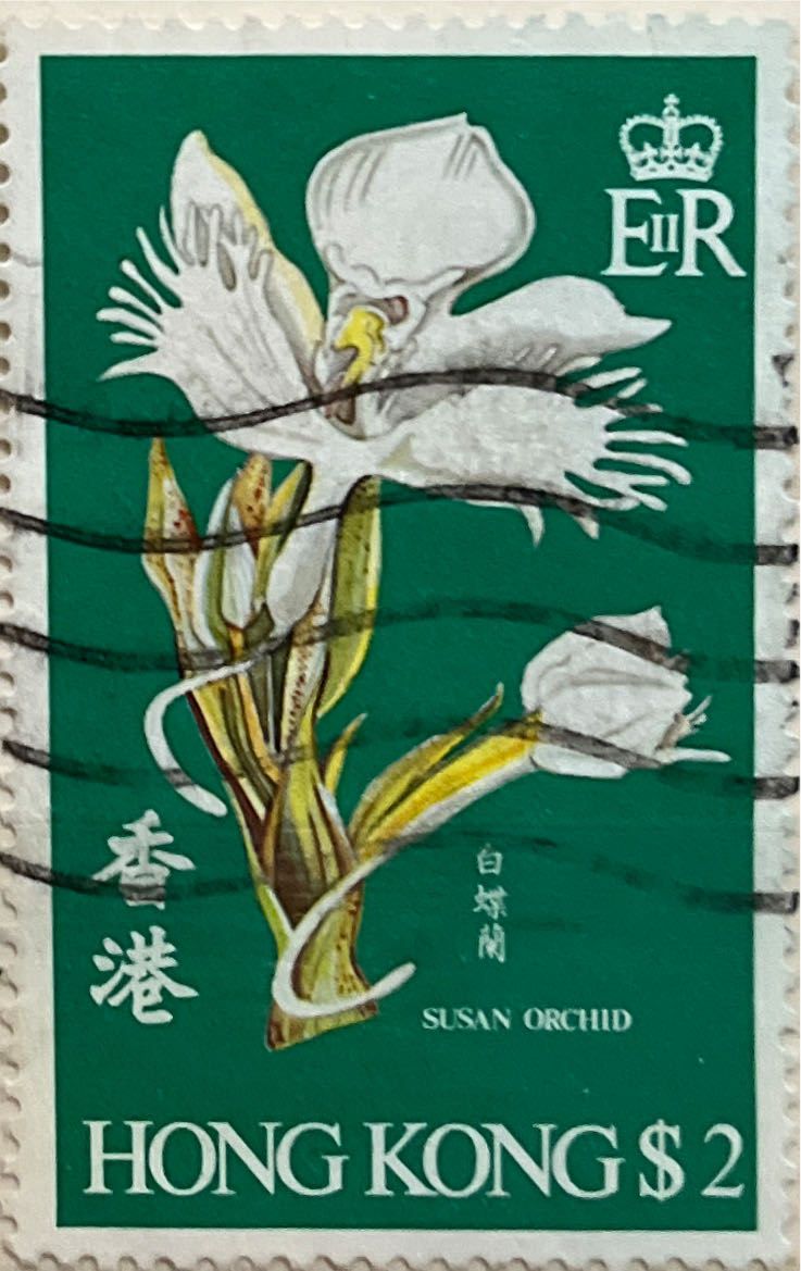 Australian Native Bonsai