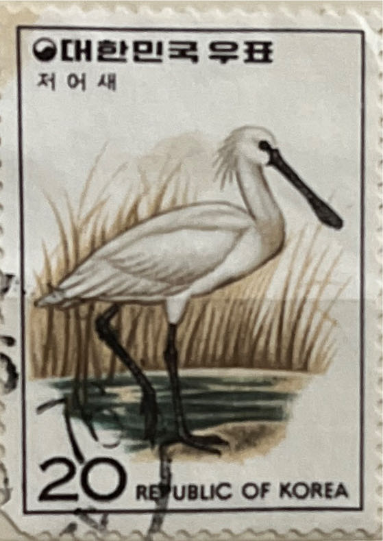 Chickadee & Mayflower