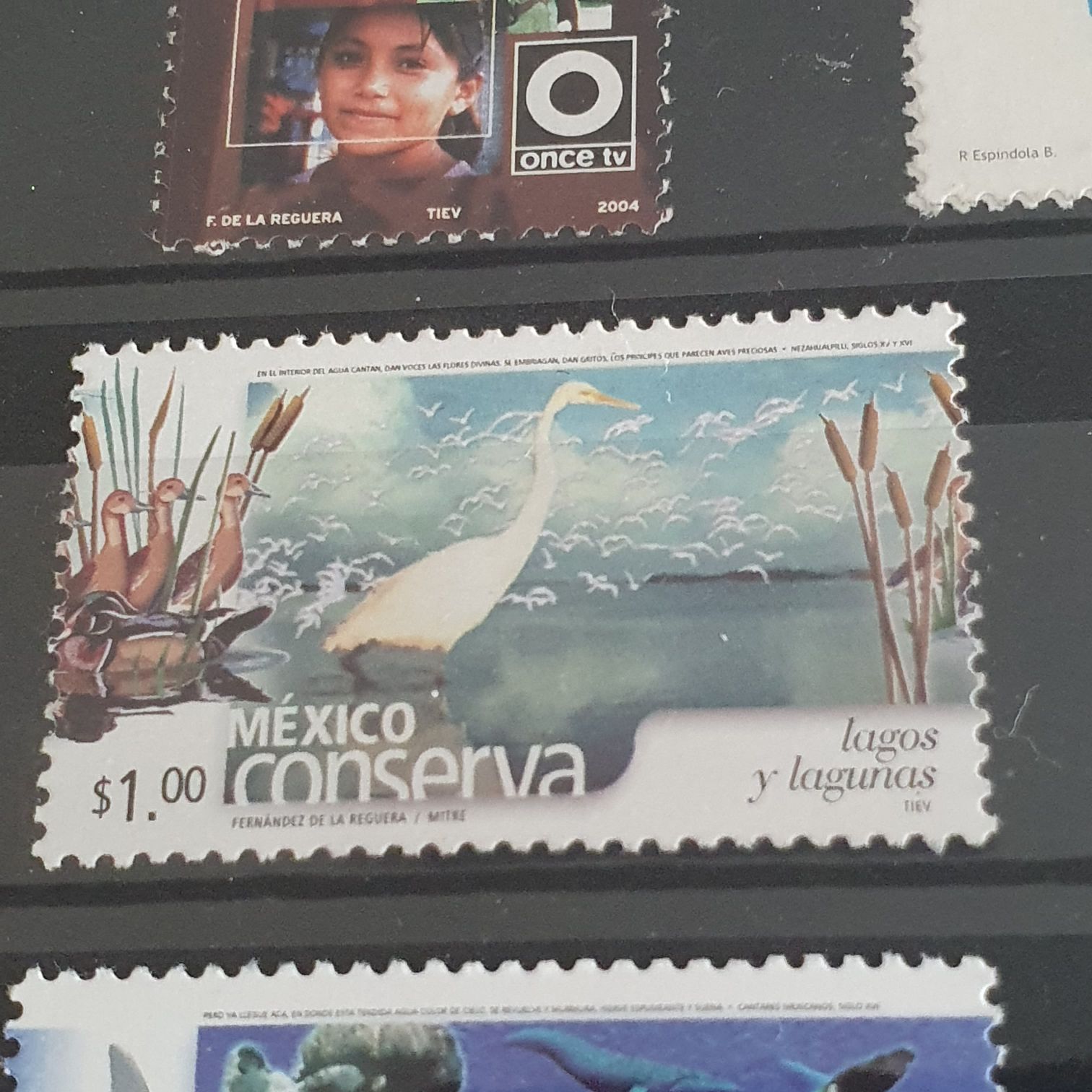 Homenaje Nacional Carlos Pellicer