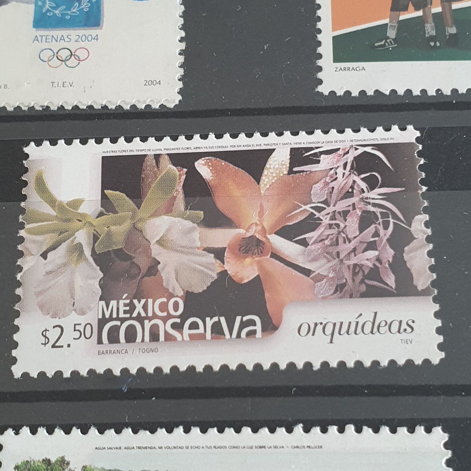 México Conserva Orquídeas  stamp collectible - Main Image 2