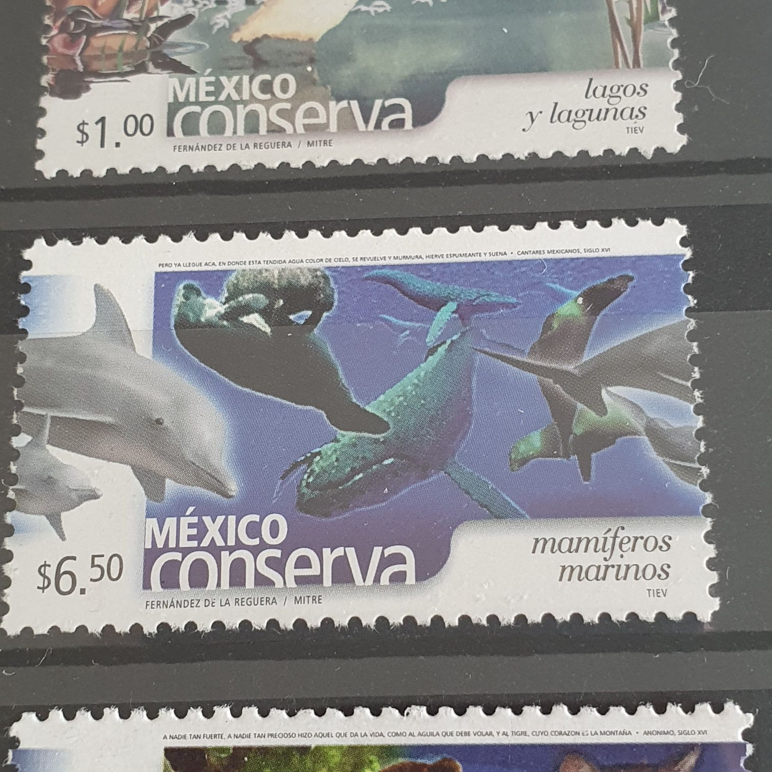 México Conserva Mamíferos Marinos  stamp collectible - Main Image 2