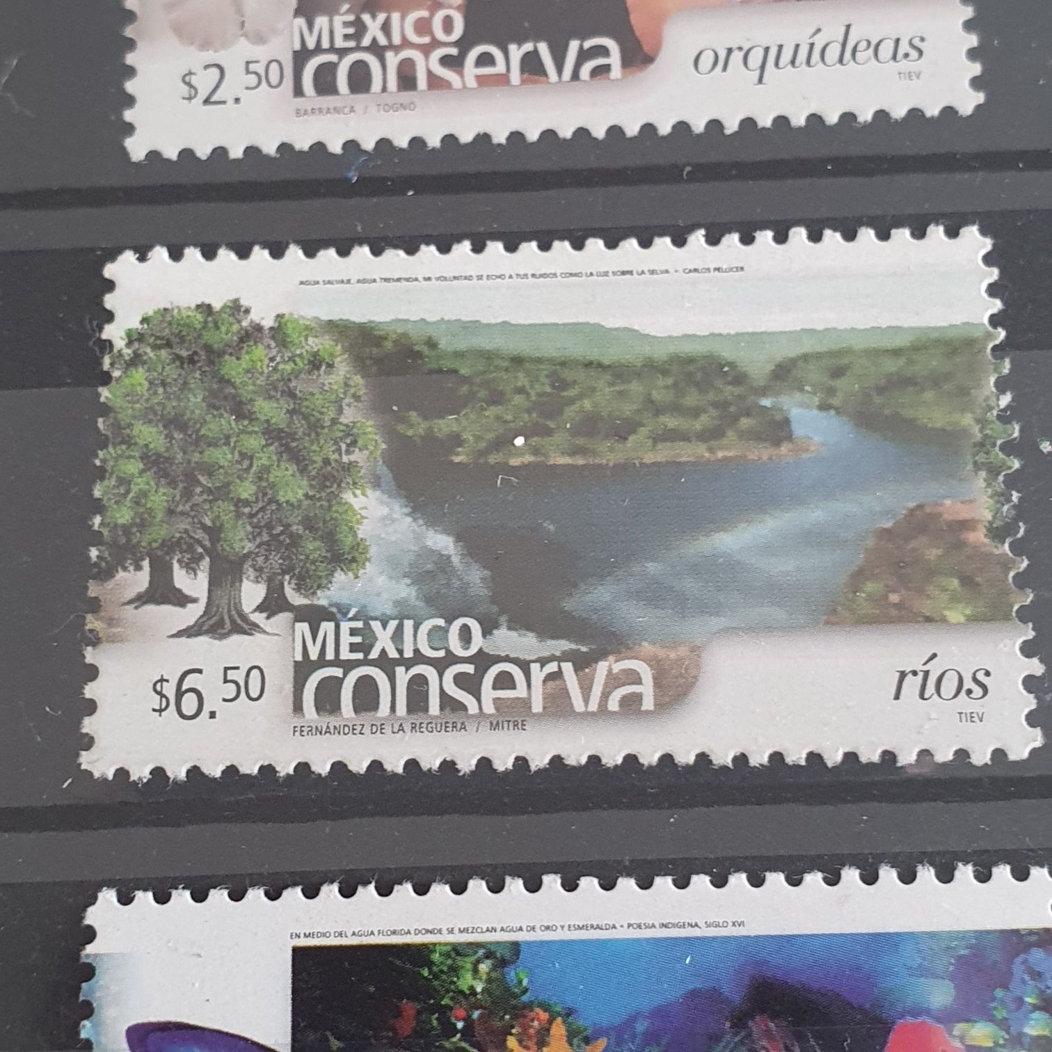 Museo De La Filatelia Oaxaca, México