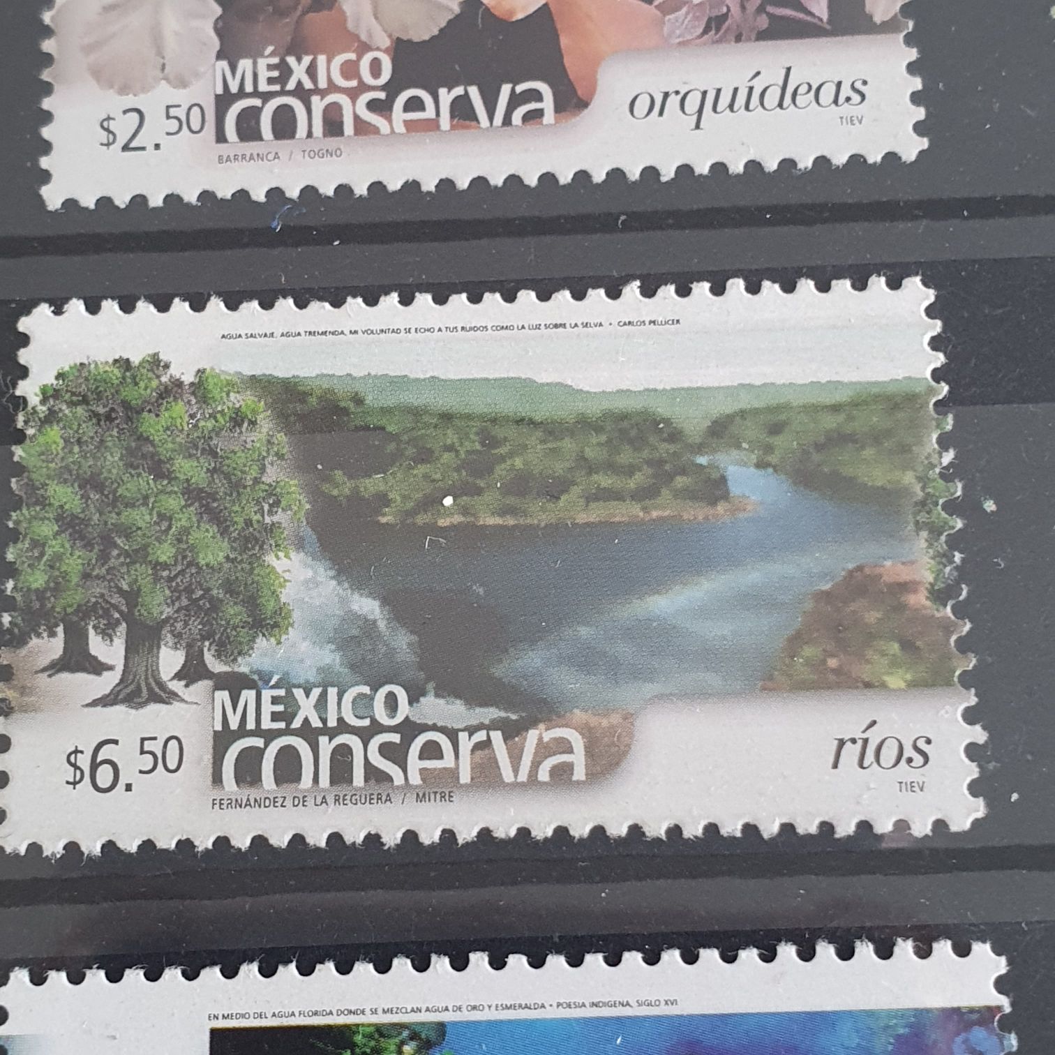 México Conserva Ríos  stamp collectible - Main Image 2