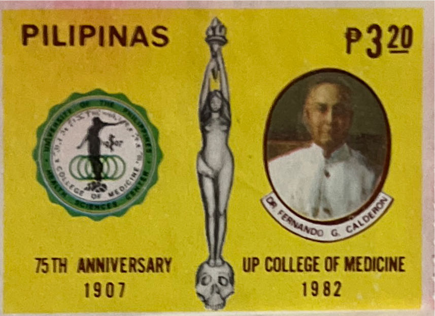 Nature Of The Australian Rainforest