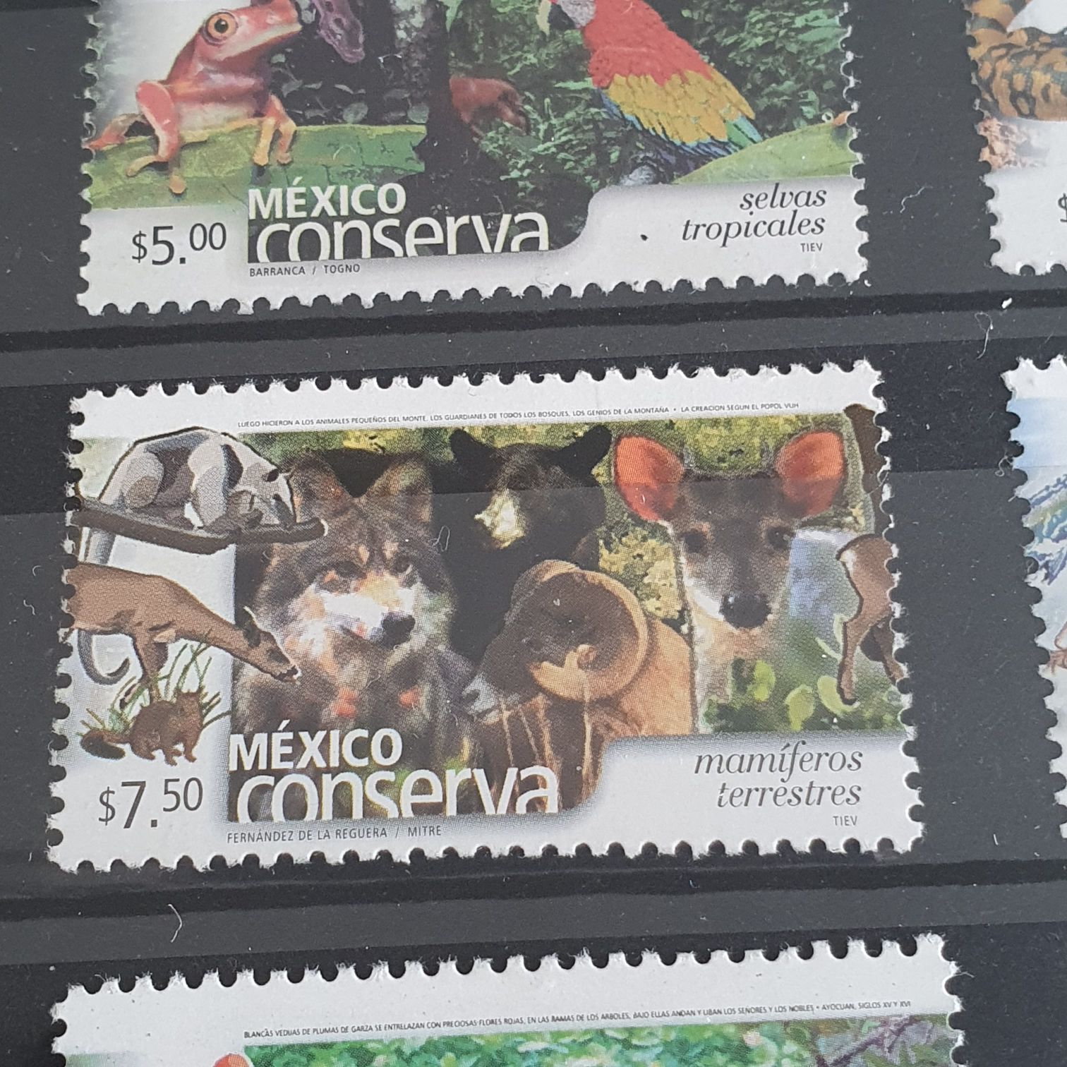 México Conserva Mamíferos Terrestres  stamp collectible - Main Image 2