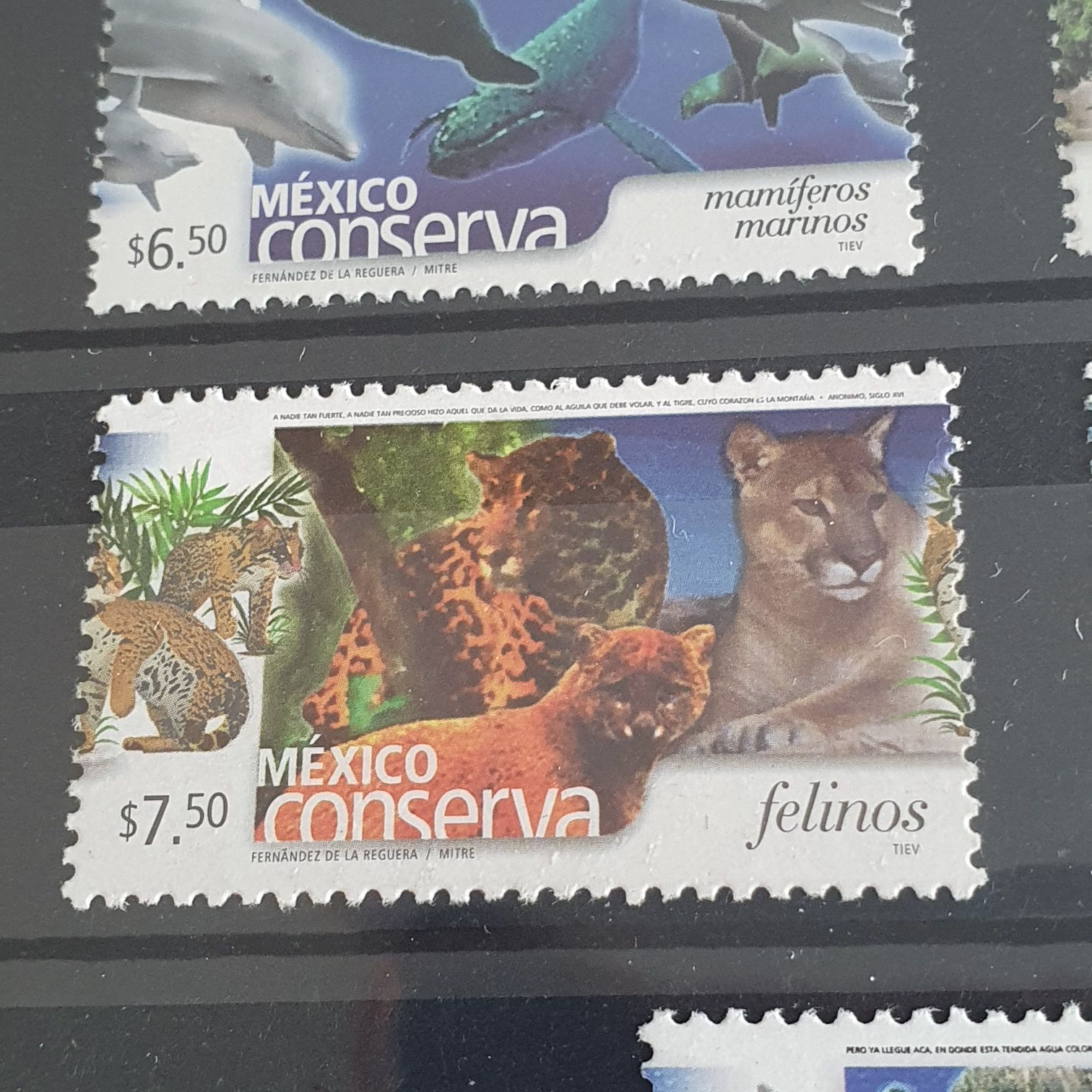 México Conserva Felinos  stamp collectible - Main Image 2
