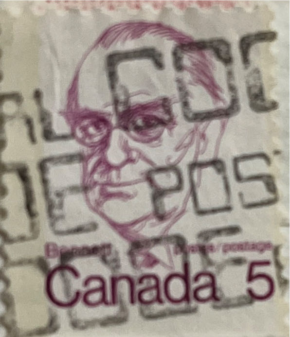 Australian Wildflowers