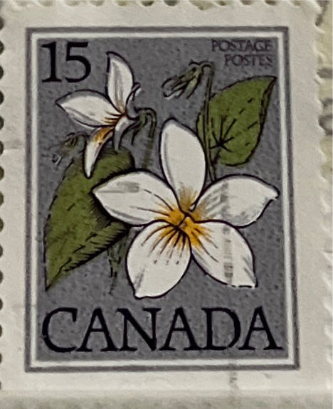 The 100th Anniversary Of The New Zealand Law Society 1869 1969