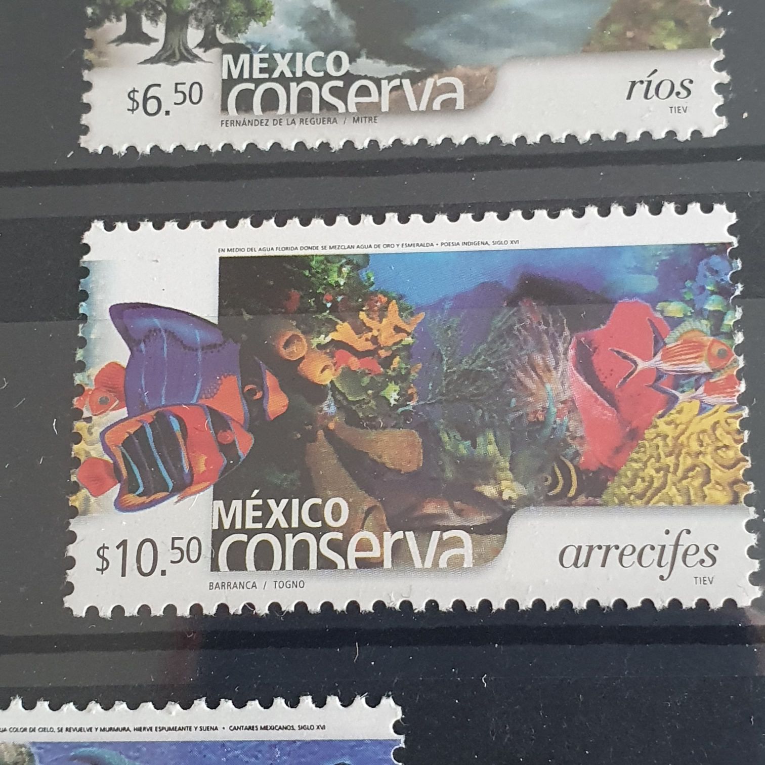 México Conserva Arrecifes  stamp collectible - Main Image 2