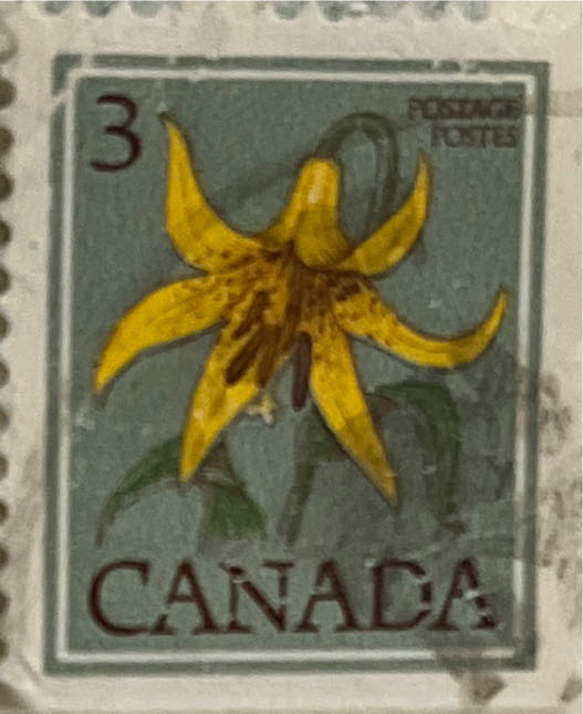 Queen Elizabeth & Junk