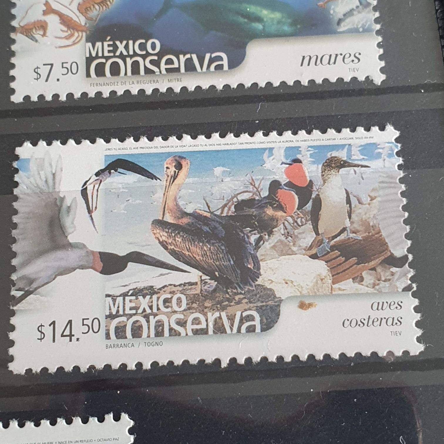 México Conserva Aves Costeras  stamp collectible - Main Image 2