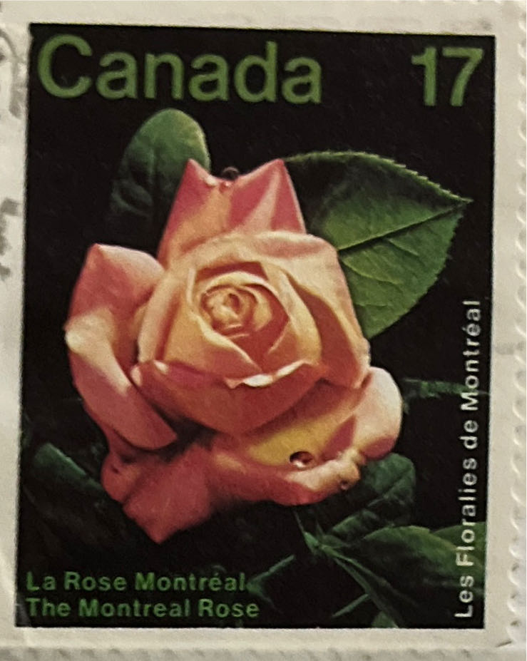 Wet Lands And Waterways