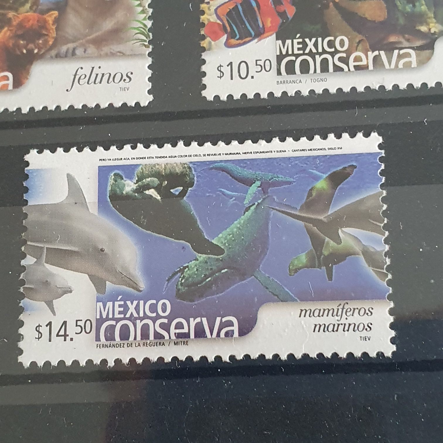 México Conserva Mamíferos Marinos  stamp collectible - Main Image 2