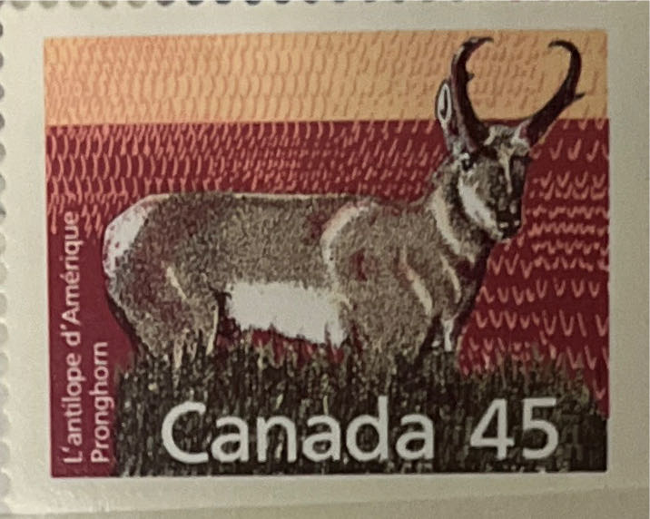 The 200th Anniversary Of The Civilization Of Australia