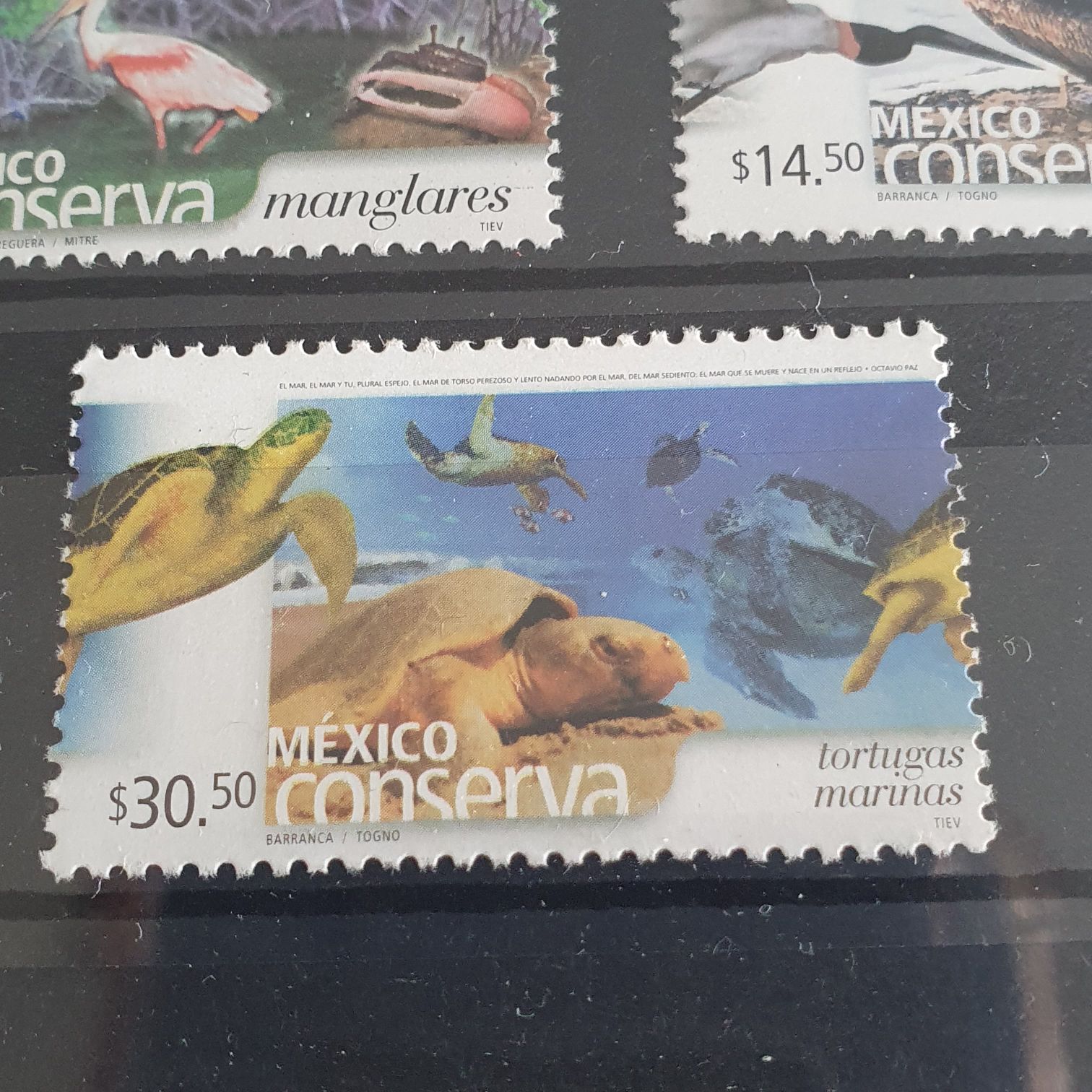 México Conserva Tortugas Marinas  stamp collectible - Main Image 2