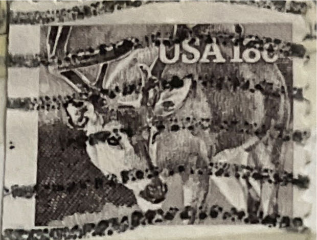 PNC Aussie Big Things