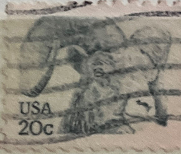 Chrysanthemum- Two Daisies