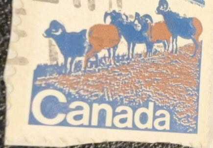 Canada: Rams  stamp collectible - Main Image 2
