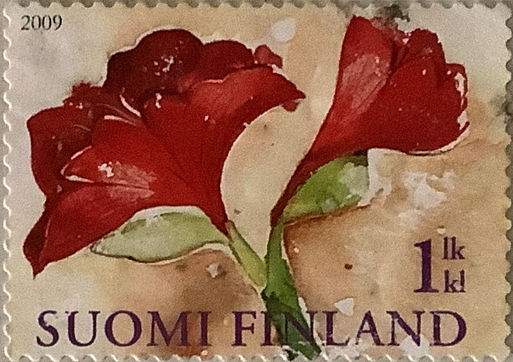 Special Occasions Love