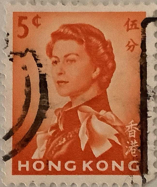 Marine Life Sea Slugs