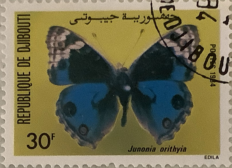 Pnc Dreaming Down Under Coin Dingo $1 The ..