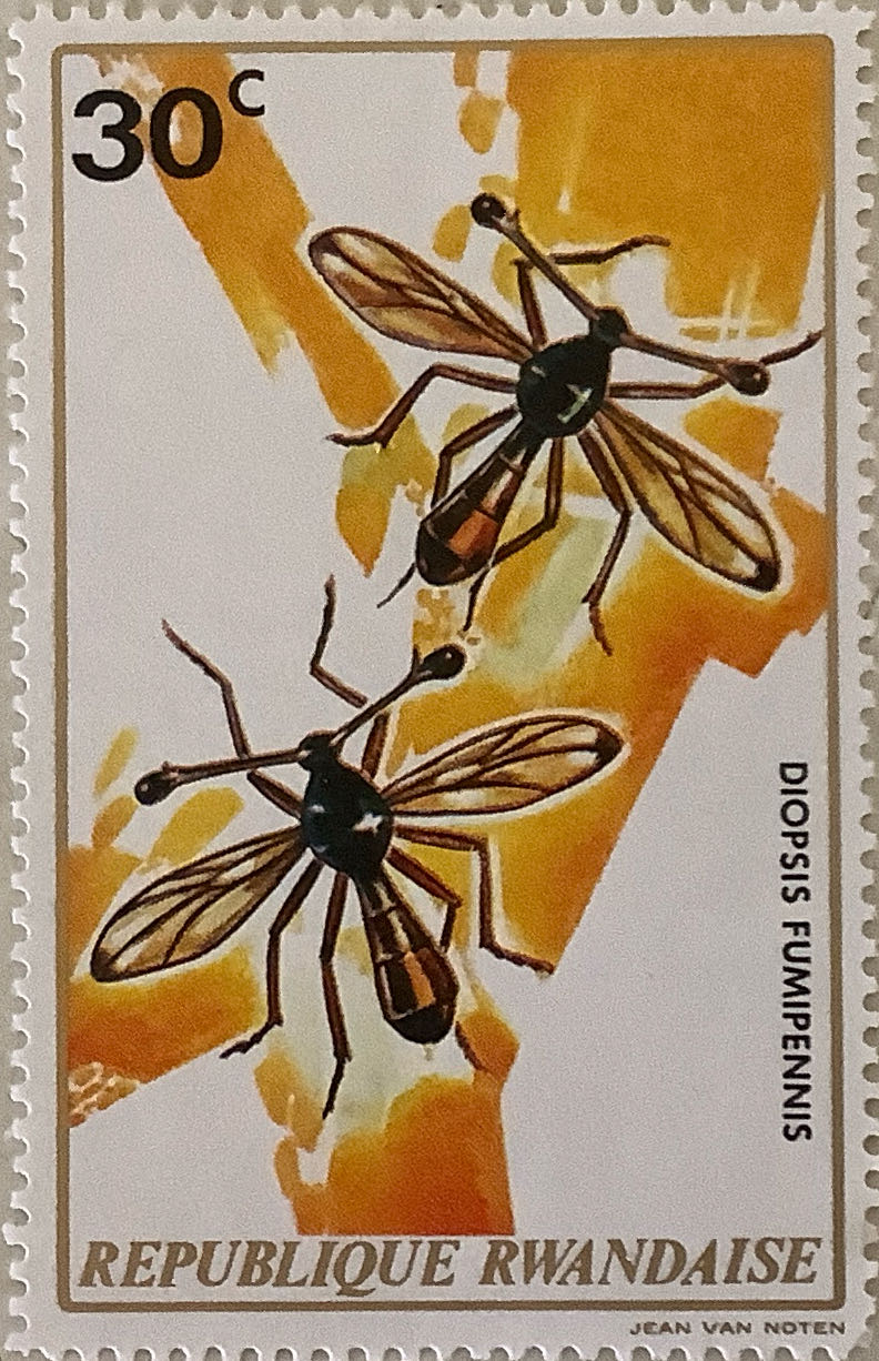 Greetings From America: Texas