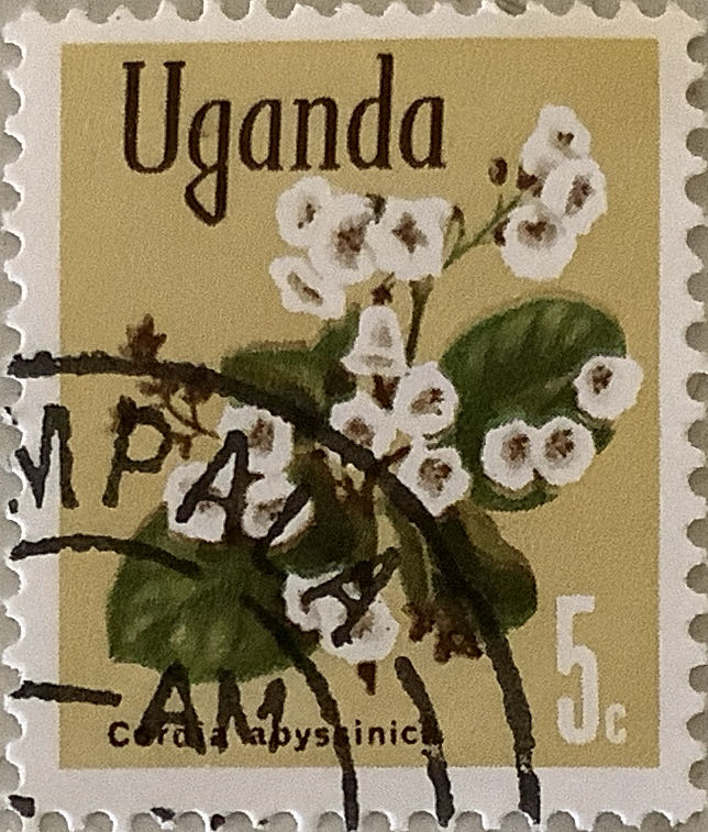 Greetings From America: Illinois