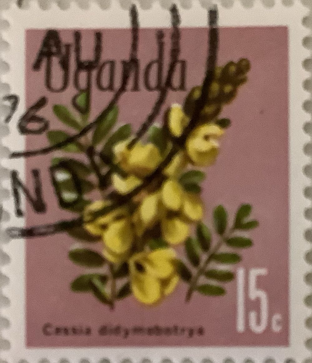 Achievements In Technology