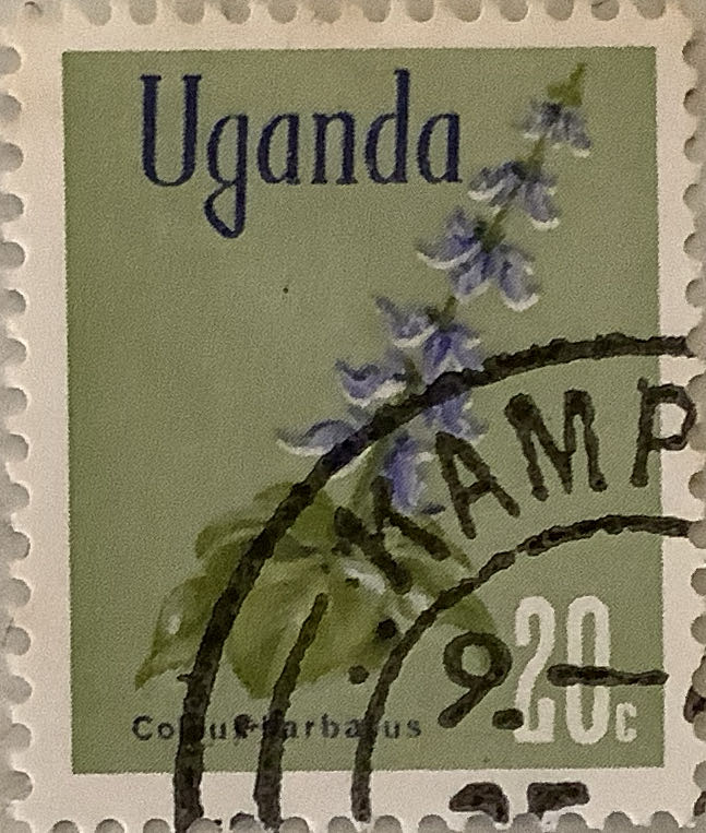 Now, There Was A Song