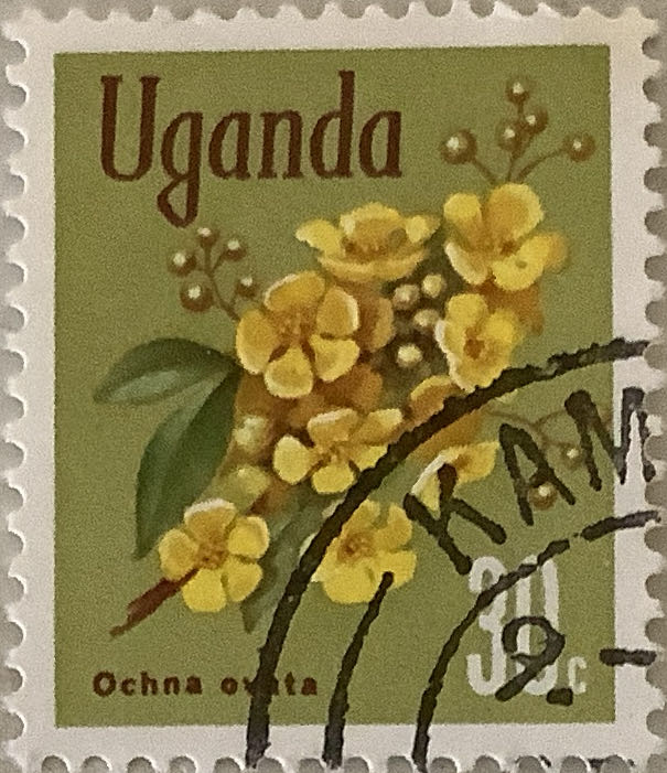 The Conquest of Diabetes