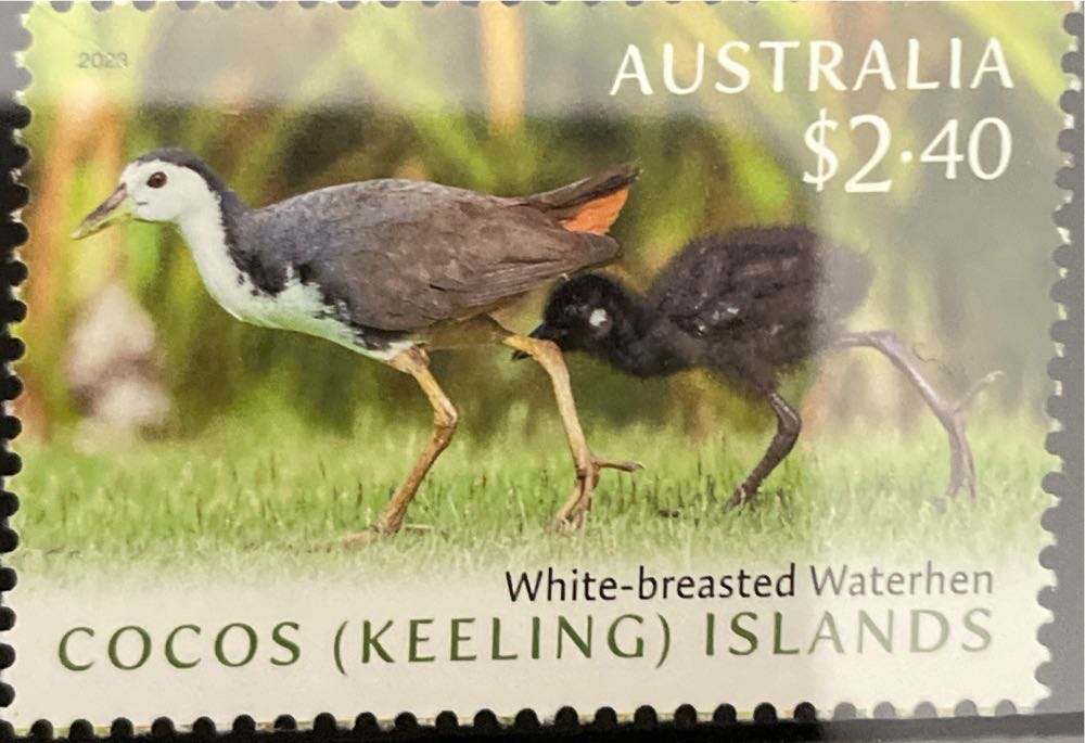 Waterhens  stamp collectible [Barcode 9349766015172] - Main Image 2