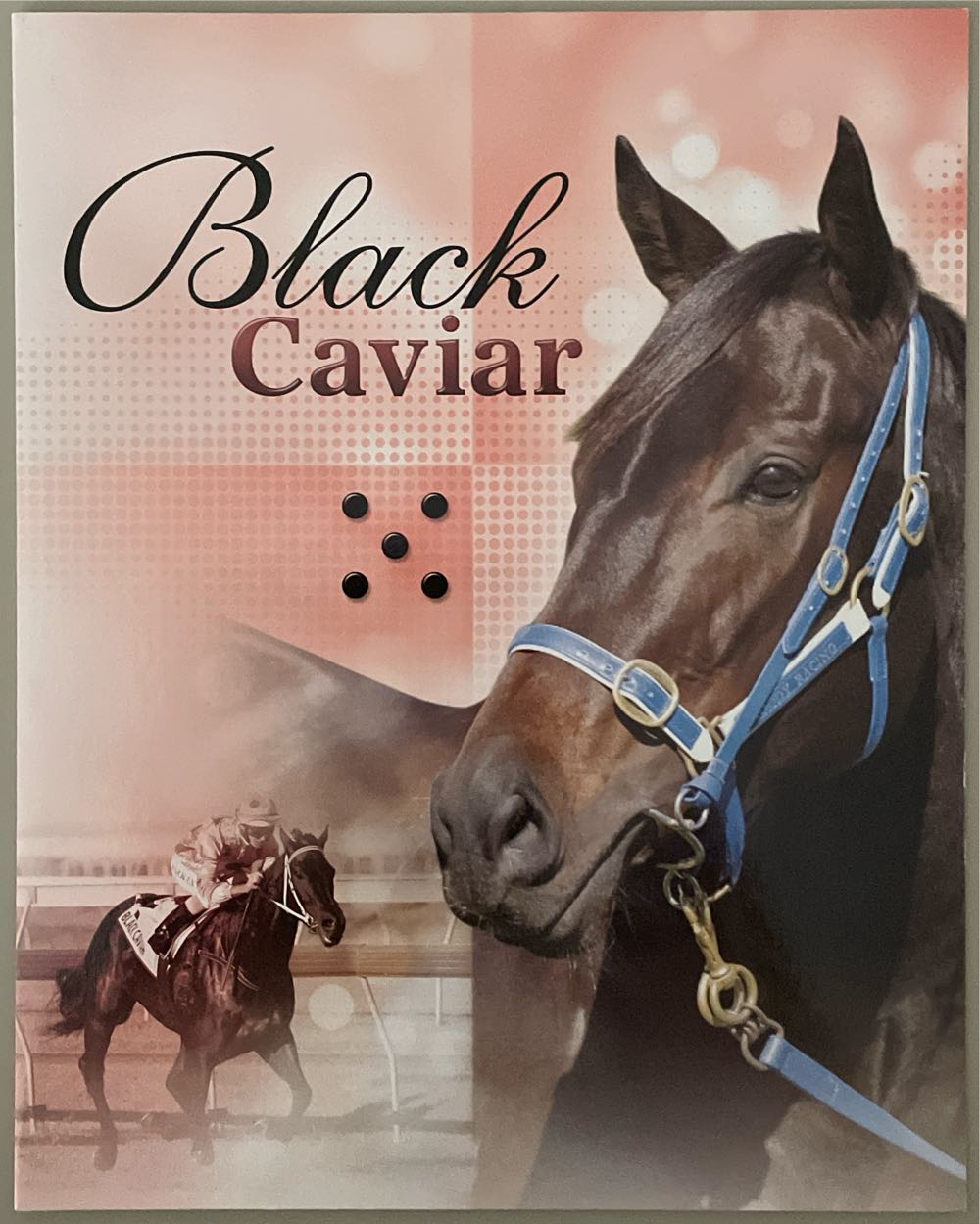 The Sentimental Bloke