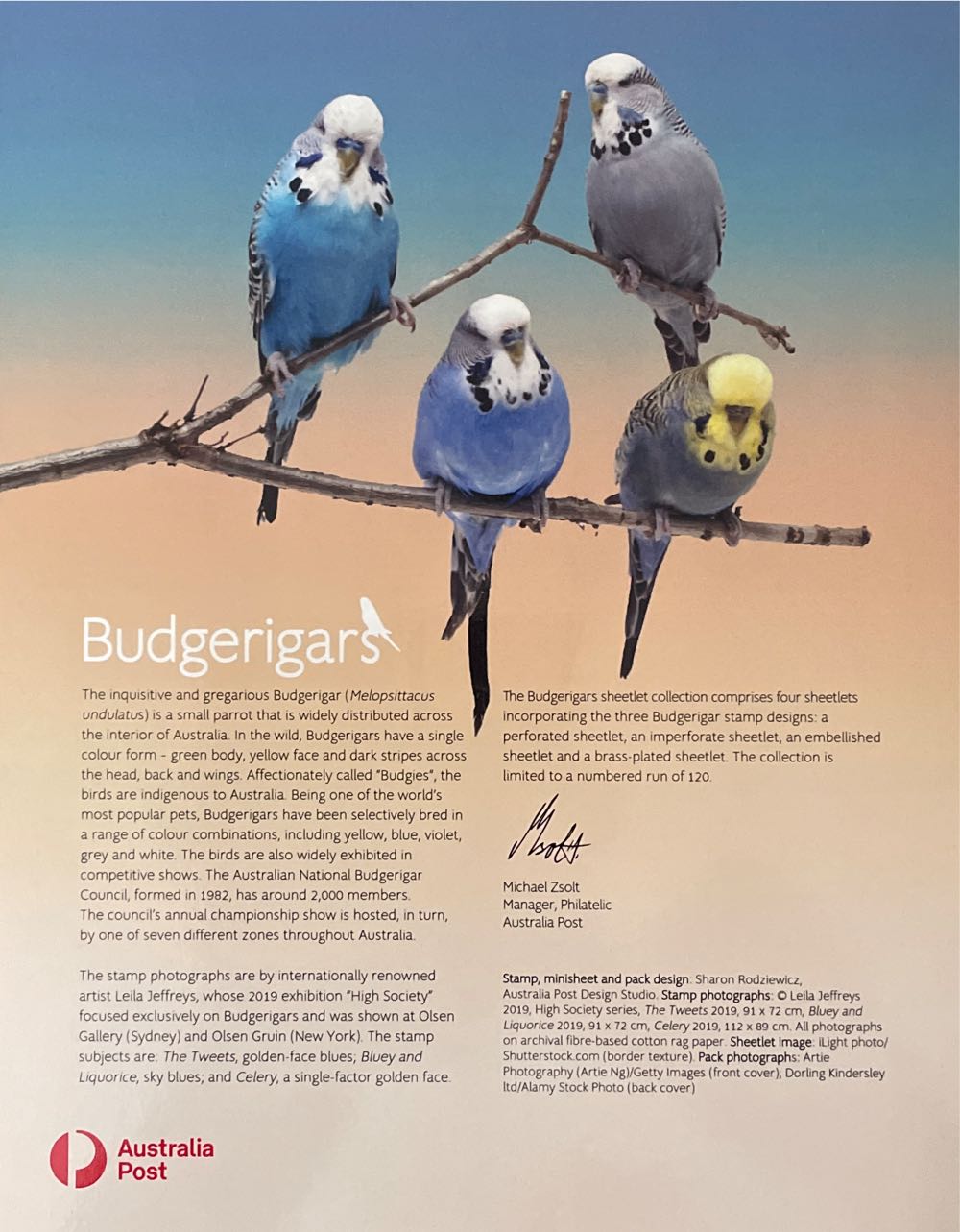 Budgerigars  stamp collectible - Main Image 2
