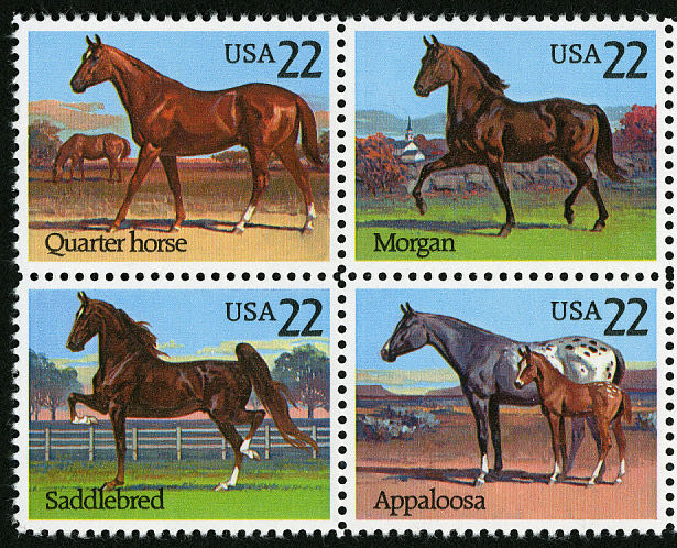 The 25th Anniversary Of Unicef Animals With Their Young