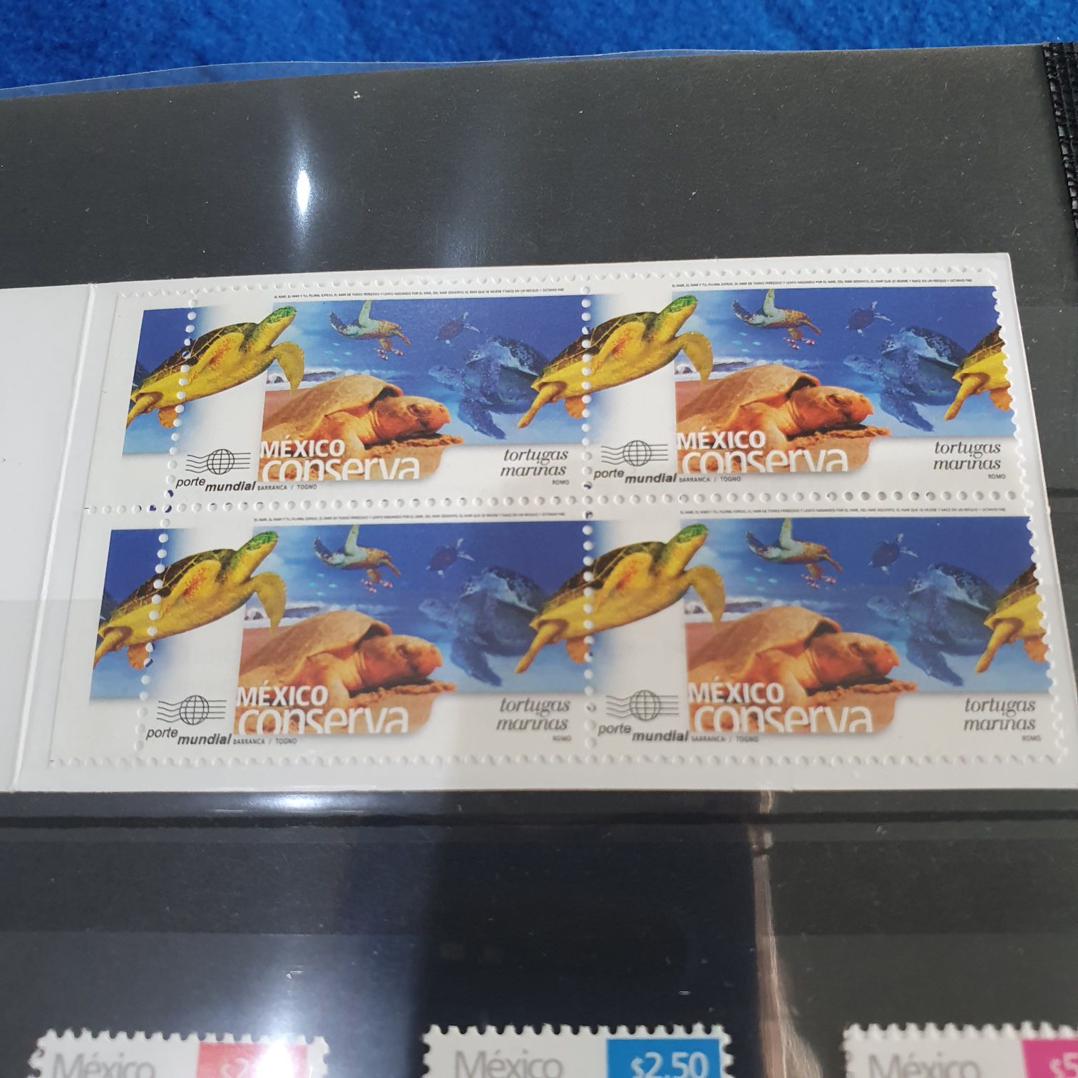 Red Australian Imperial Forces