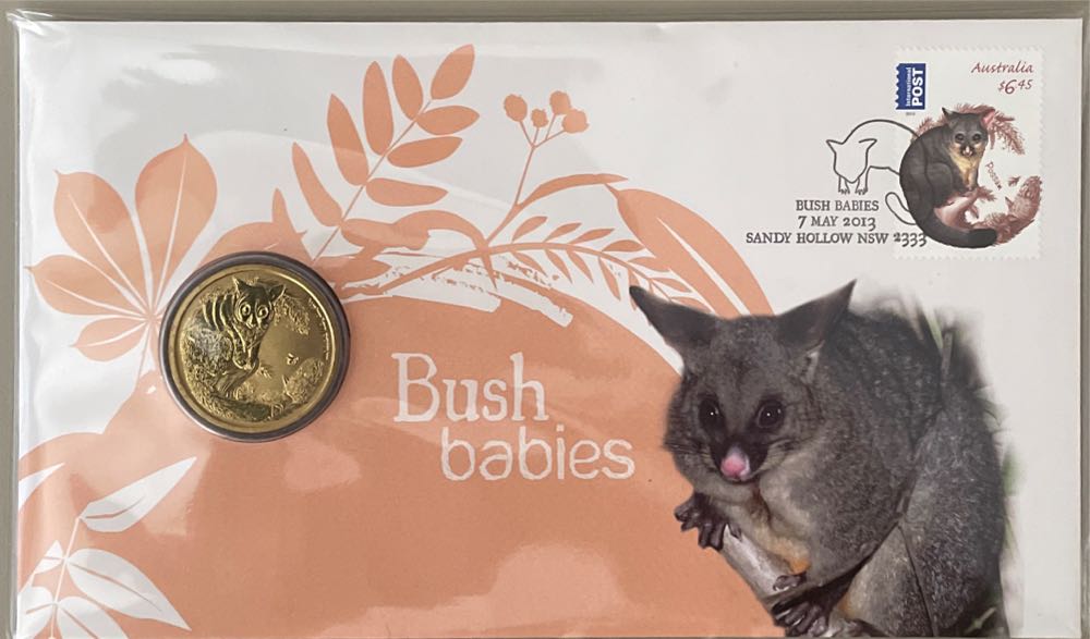 The Magic Rainforest