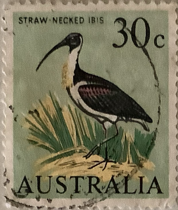 Malasian Scout Jamboree