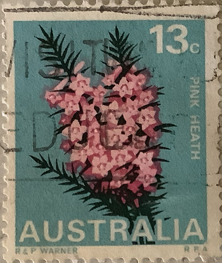 The 25th Anniversary Of Unicef Animals With Their Young