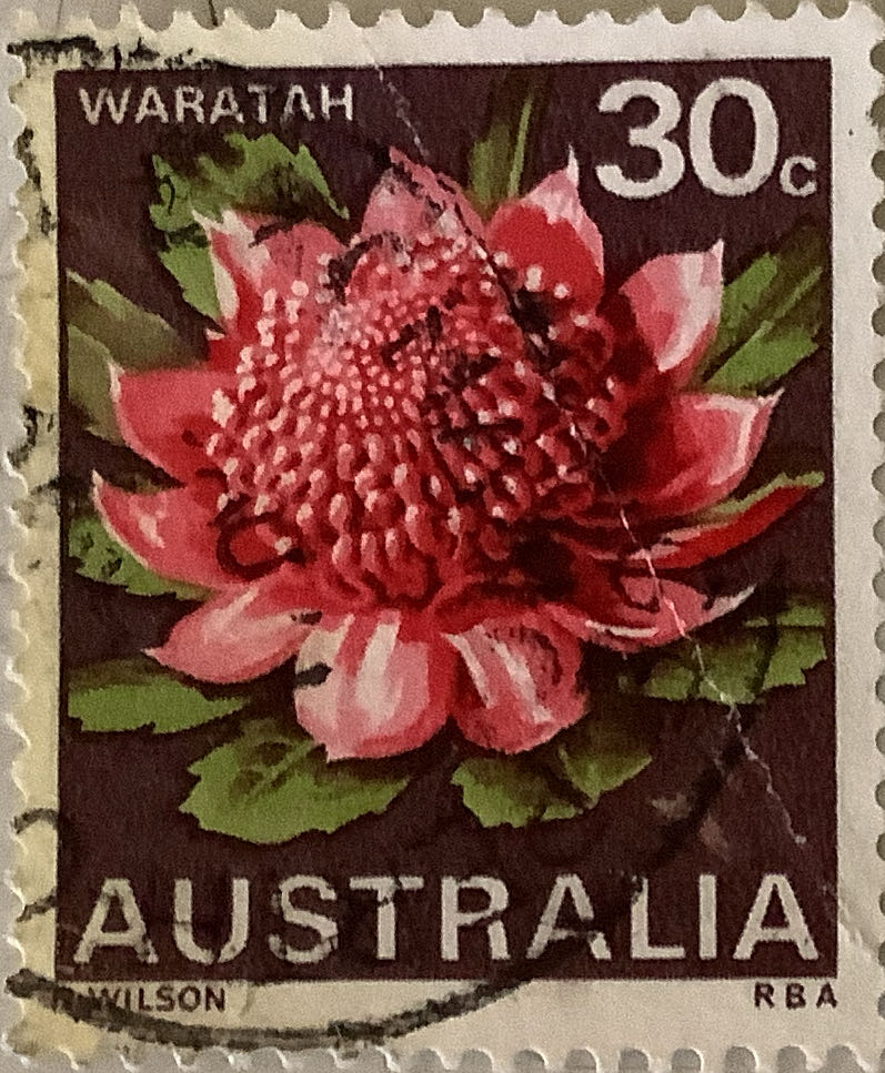 1988 Olympic Winter Games - Ski Jumping 